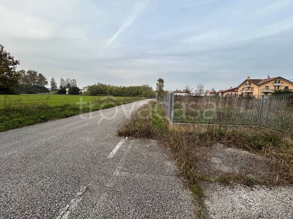 immagine annuncio 4 di 8