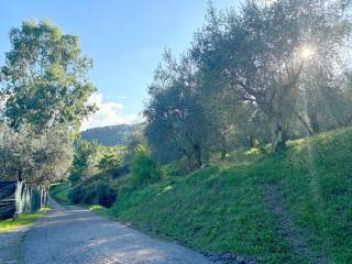 Terreno agricolo in vendita a lucca via torre di sotto, 32