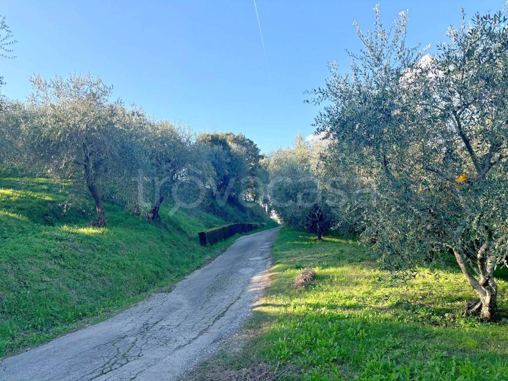 immagine annuncio 2 di 11
