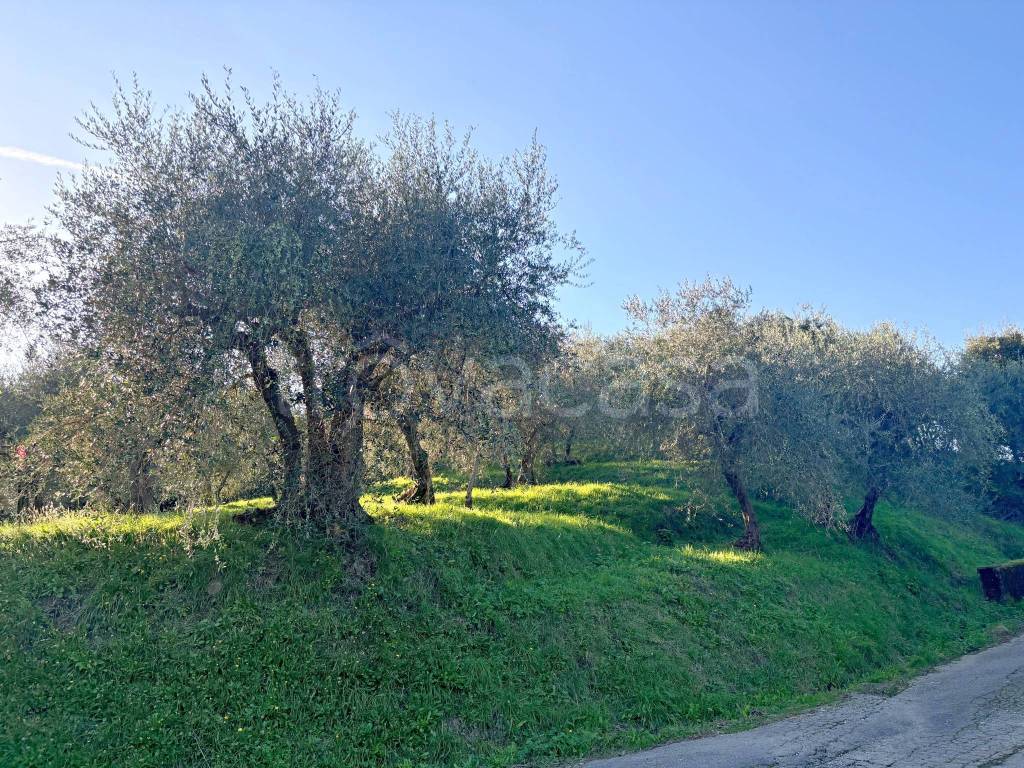 immagine annuncio 3 di 11