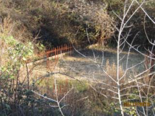 Terreno agricolo all'asta a roccastrada via le cortine