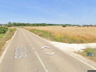 Azienda agricola all'asta a taviano strada provinciale taviano casarano maglie