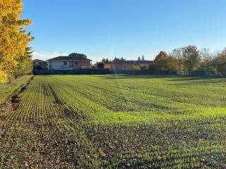 Terreno agricolo in vendita a olgiate olona via ombrone