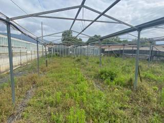 Terreno agricolo in vendita ad albenga regione pratogrande