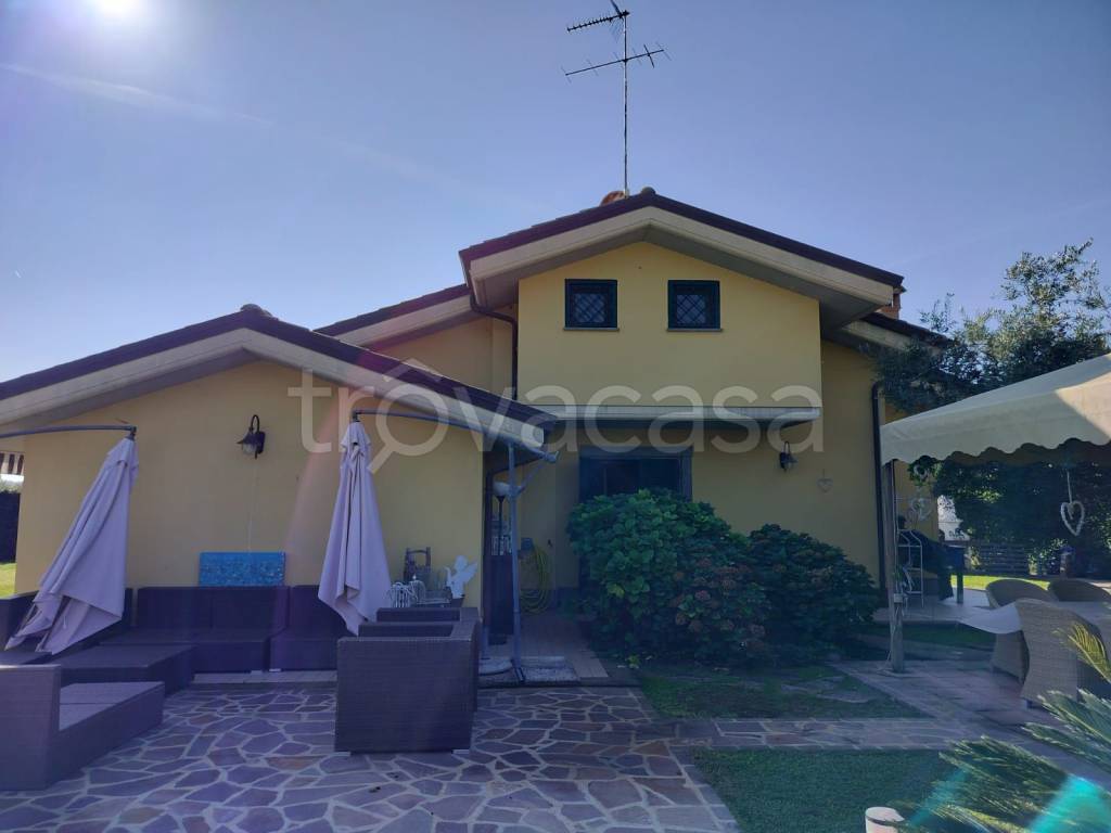 immagine annuncio 5 di 15