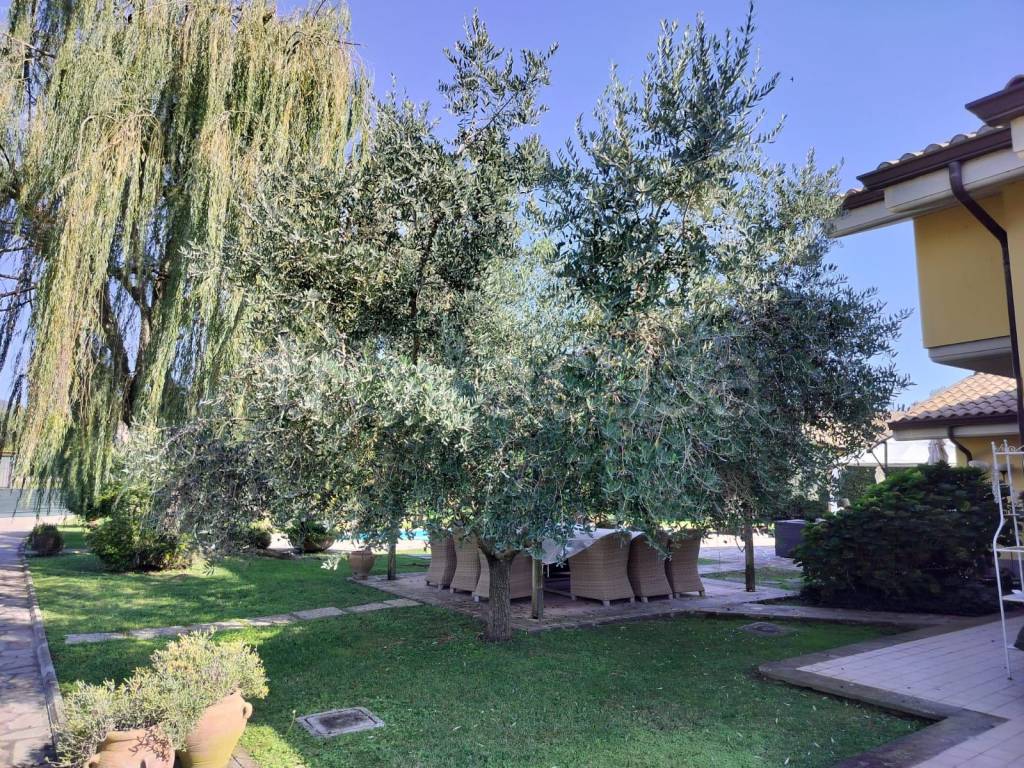 immagine annuncio 4 di 15