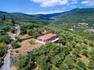 Villa bifamiliare in vendita a pontedassio via provinciale, 17