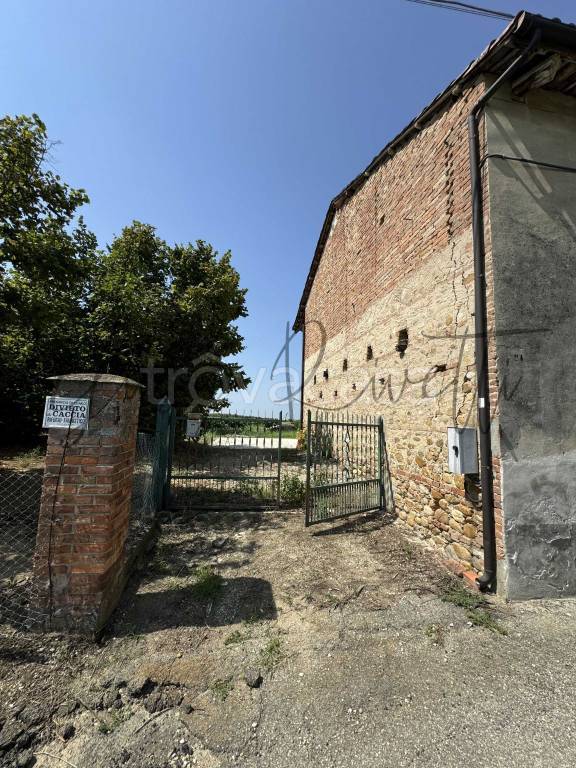 immagine annuncio 11 di 13