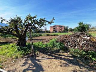 Terreno residenziale in vendita a santa maria a vico via tenente alberto puoti, 86