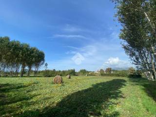 Terreno agricolo in vendita a cassino via faio