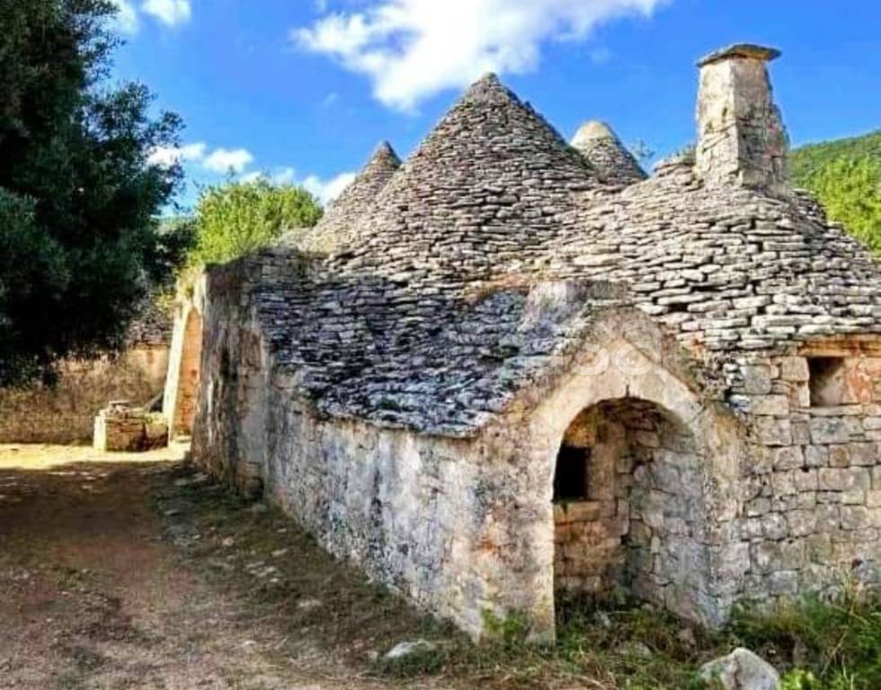 immagine annuncio 5 di 10