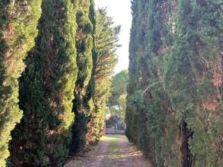 Villa in vendita a tarquinia strada comunale delle grottelle pian di spille