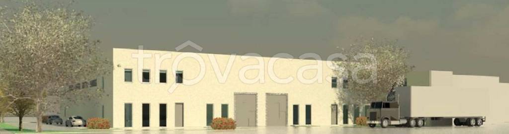 immagine annuncio 4 di 12