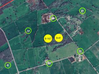 Terreno agricolo all'asta a mottola sp56