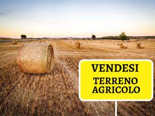 Terreno agricolo in vendita a salzano 