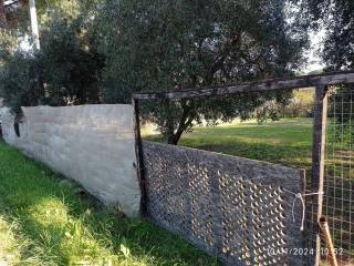 Terreno agricolo in vendita a collesalvetti via cesare pavese