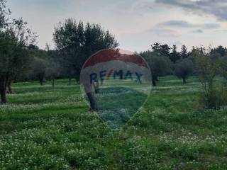 Terreno agricolo in vendita a pozzallo contrada scaro