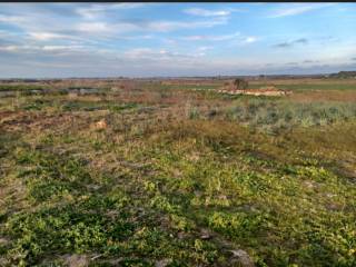 Terreno agricolo all'asta a cutrofiano sp361