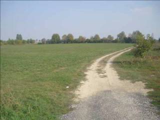 Terreno residenziale all'asta a borgo virgilio cerese