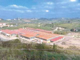 Terreno agricolo in vendita a castelfiorentino valletta di rio vallone