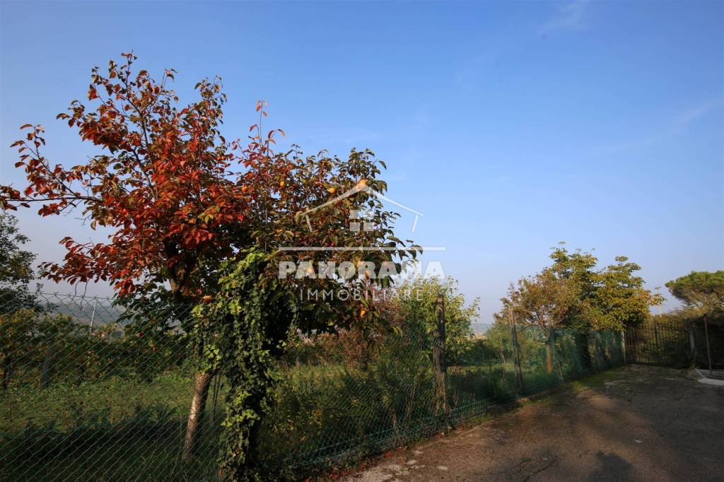 immagine annuncio 9 di 12