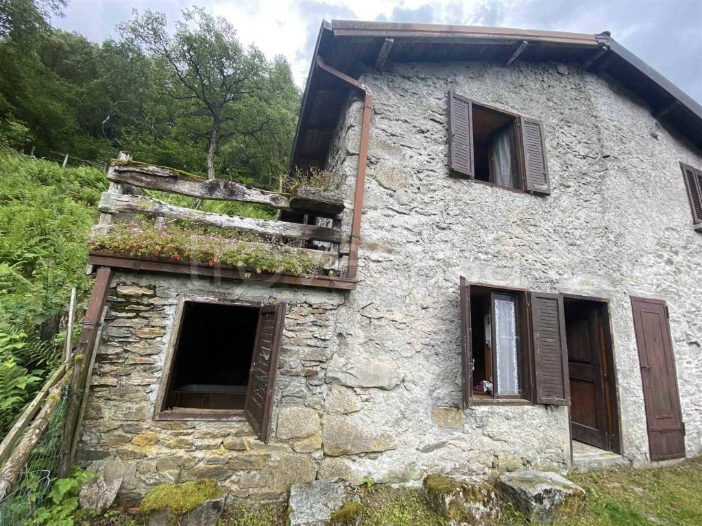 immagine annuncio 2 di 12