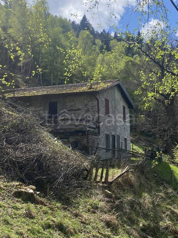 immagine annuncio 10 di 12