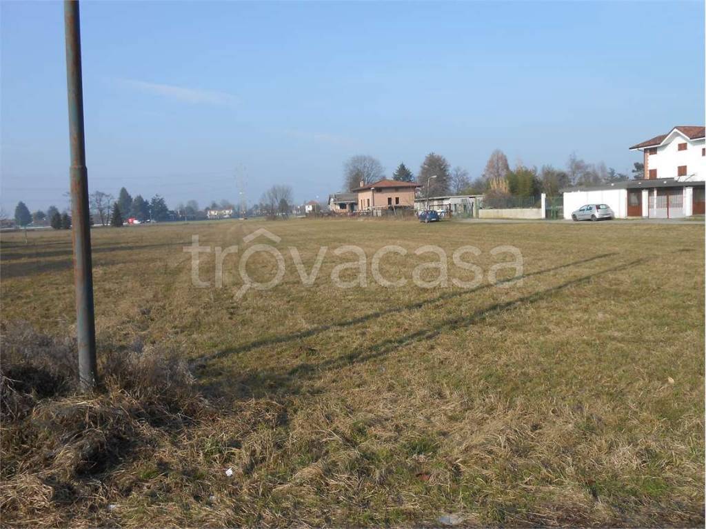 immagine annuncio 4 di 6