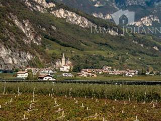 Appartamento in affitto a magrè sulla strada del vino 