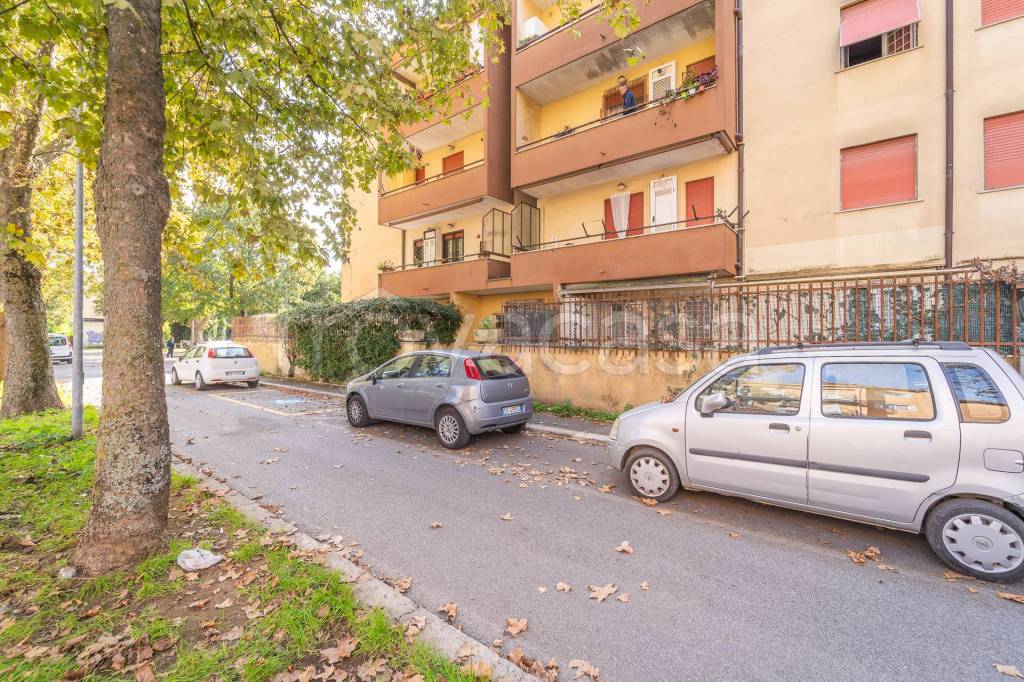 immagine annuncio 13 di 14