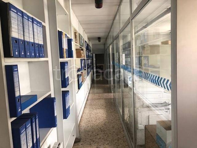 immagine annuncio 11 di 14