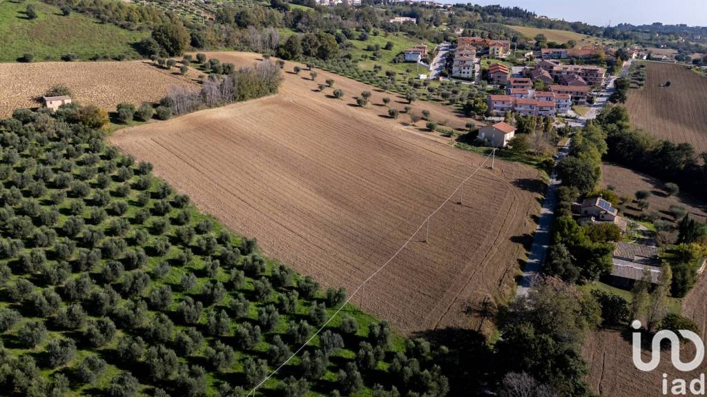 immagine annuncio 1 di 2
