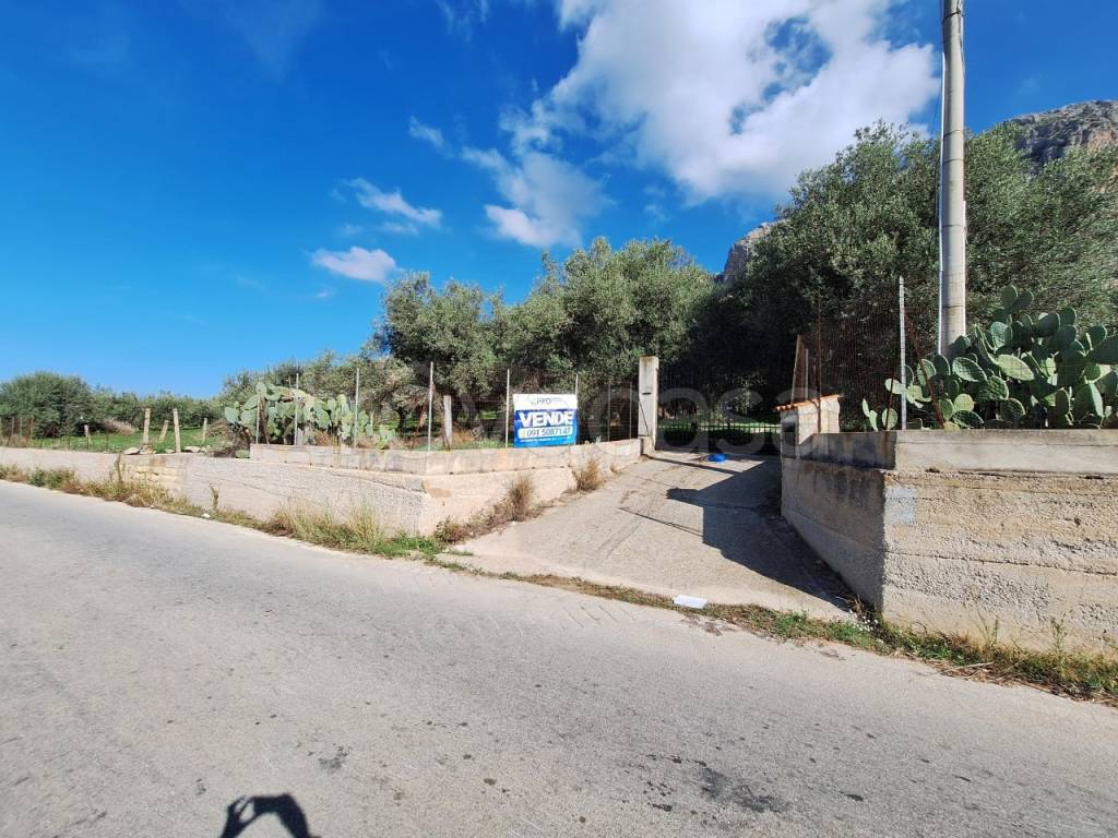 immagine annuncio 9 di 12