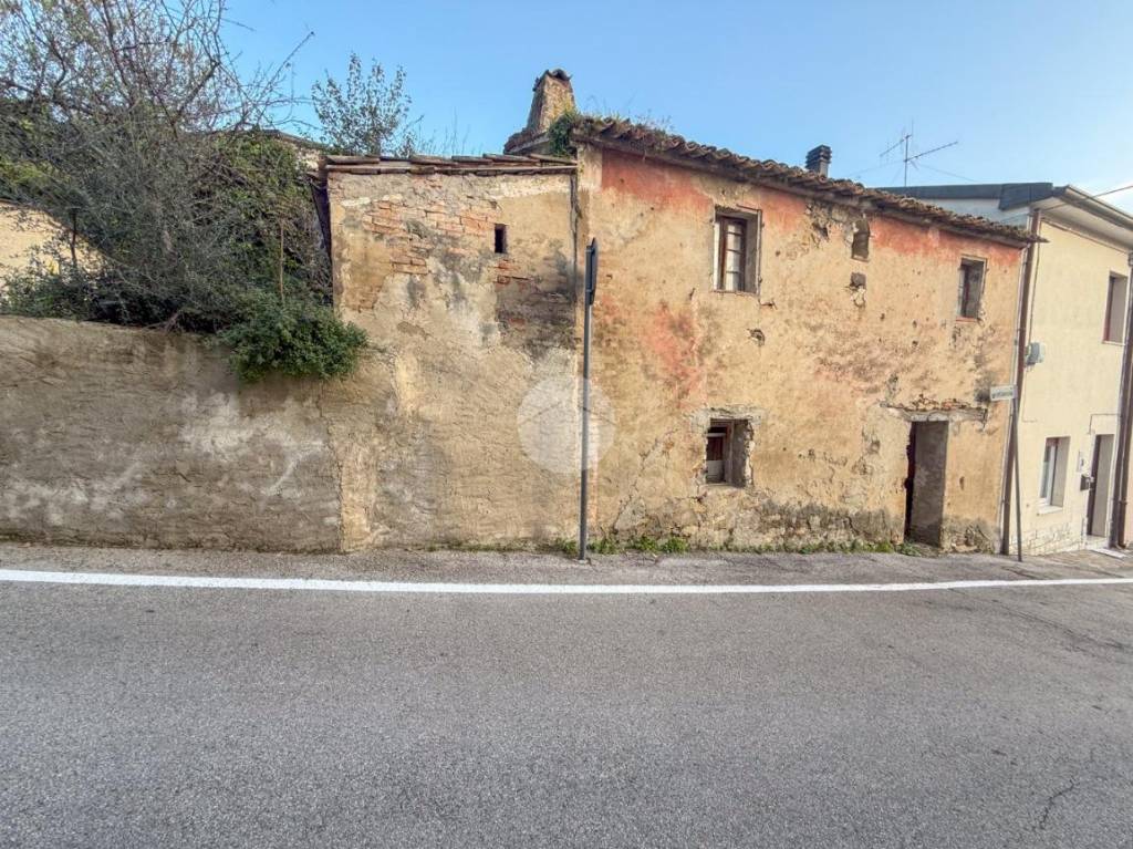 immagine annuncio 9 di 11