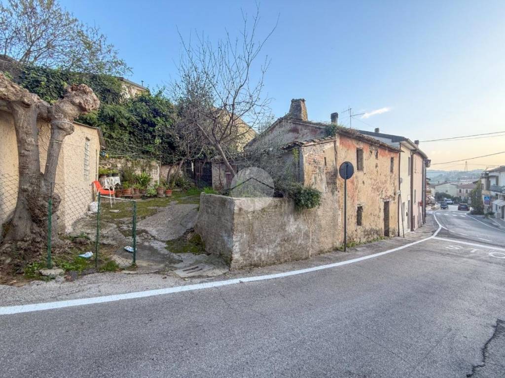 immagine annuncio 3 di 11