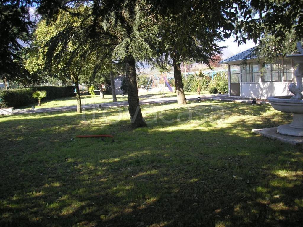 immagine annuncio 9 di 12