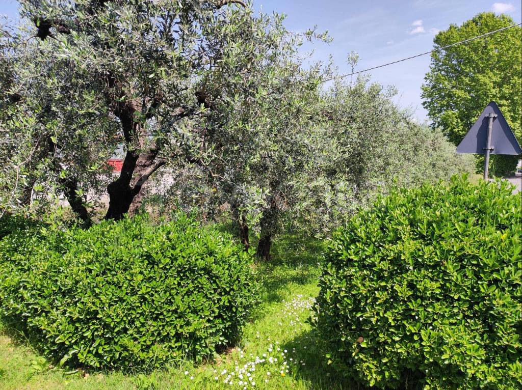 immagine annuncio 11 di 14