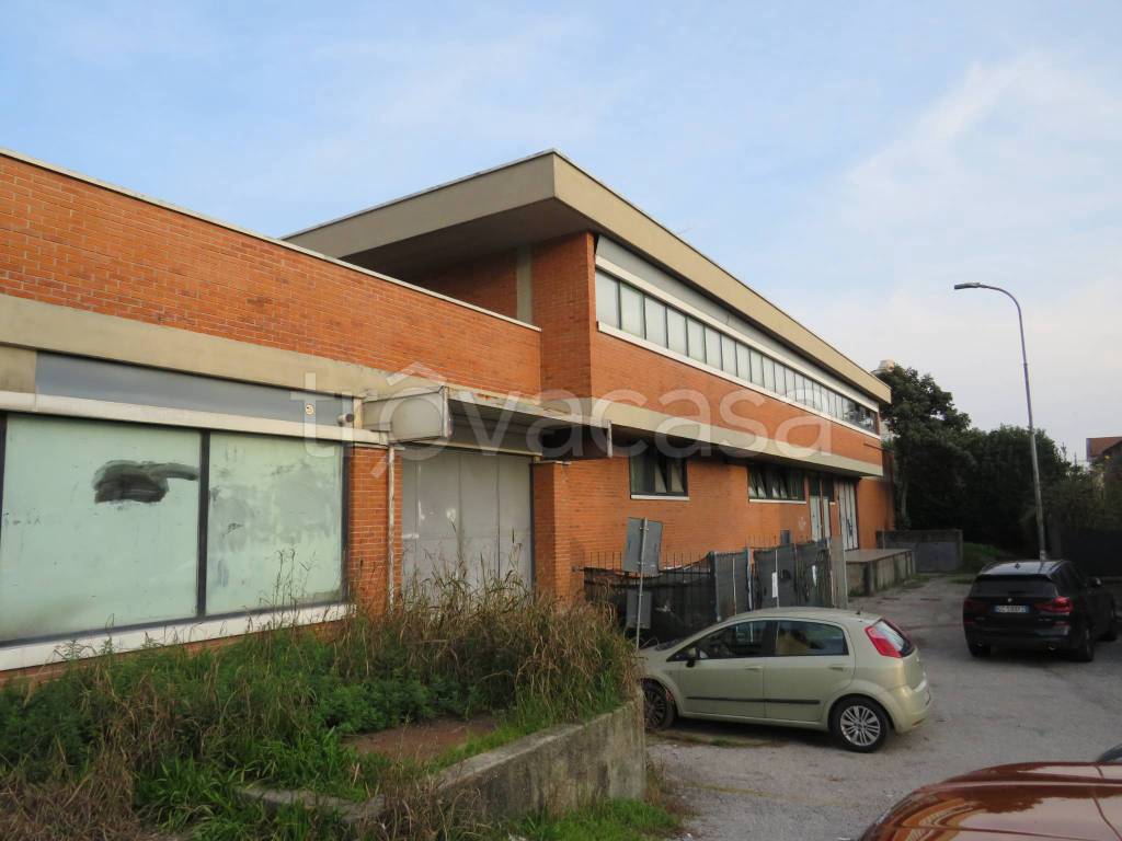 immagine annuncio 13 di 15