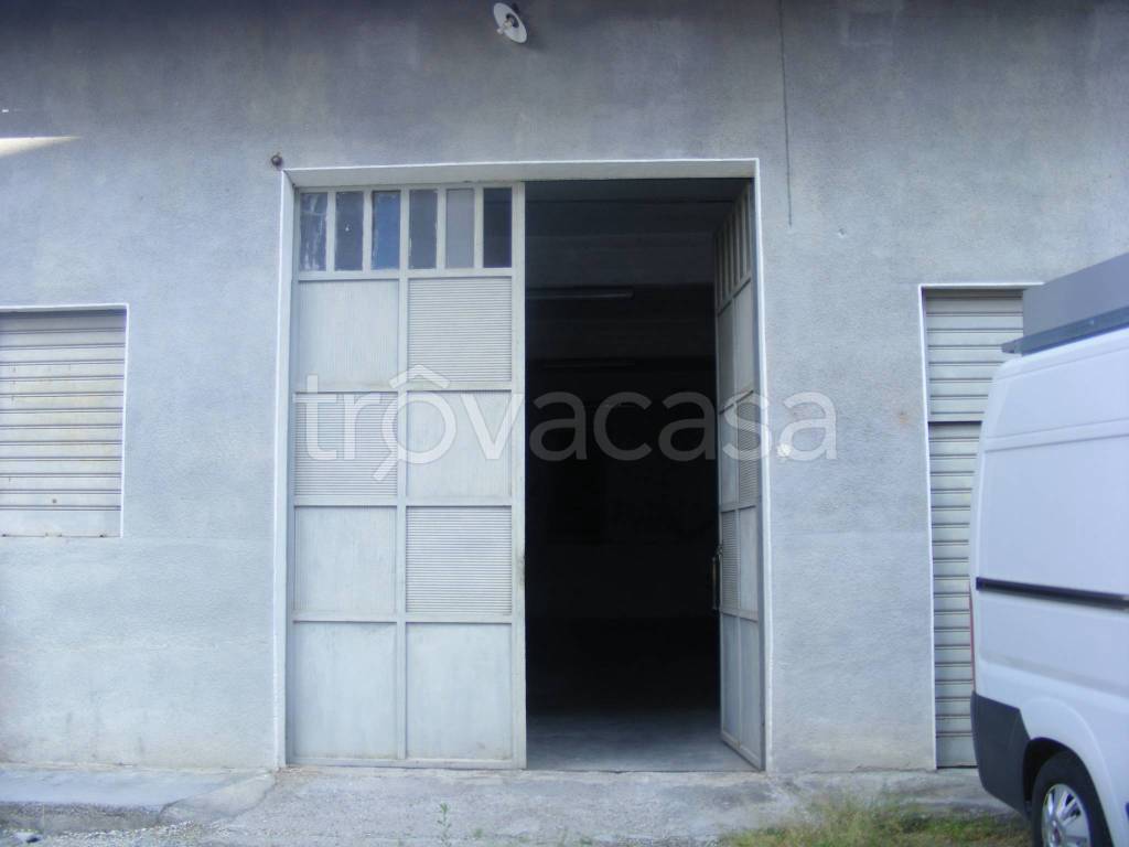 immagine annuncio 1 di 7