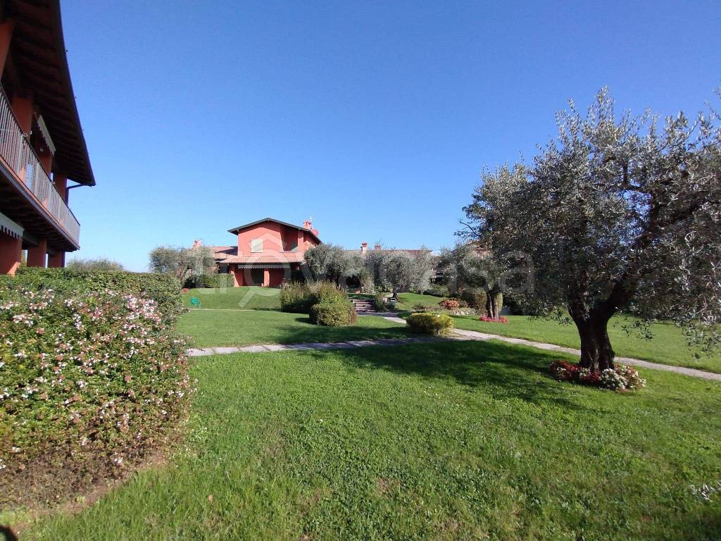 immagine annuncio 5 di 15