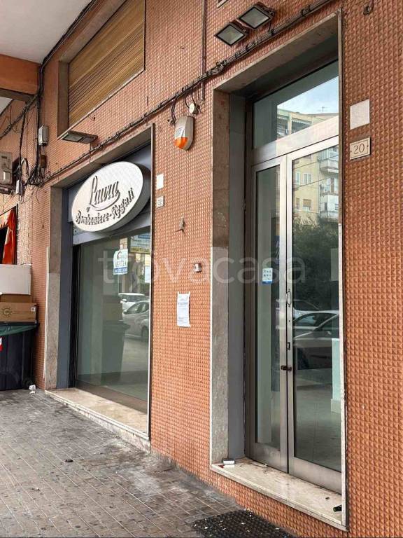 immagine annuncio 6 di 11