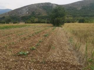 Terreno agricolo all'asta a pratola peligna ponte la torre