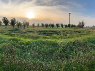 Terreno agricolo in vendita a pavia di udine via sammardenchia