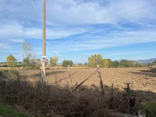 Terreno agricolo in vendita ad altavilla silentina località scanno