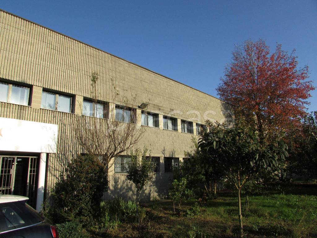 immagine annuncio 6 di 15