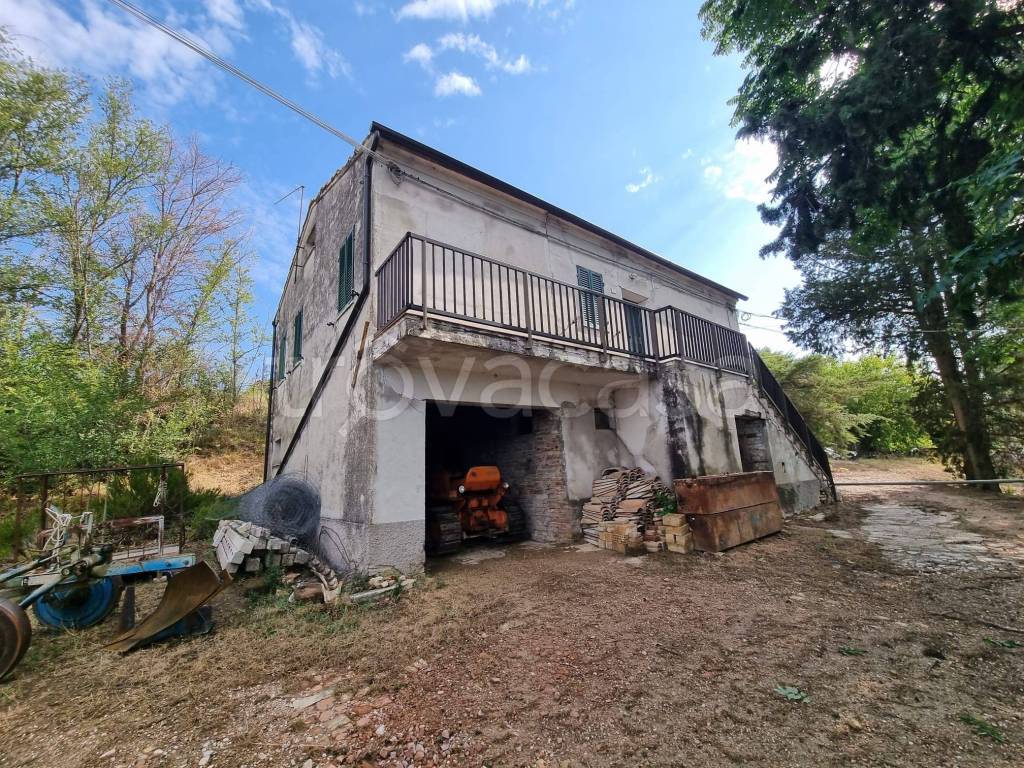 immagine annuncio 5 di 13