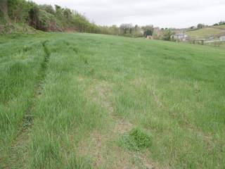 Terreno agricolo in vendita a imola via bergullo