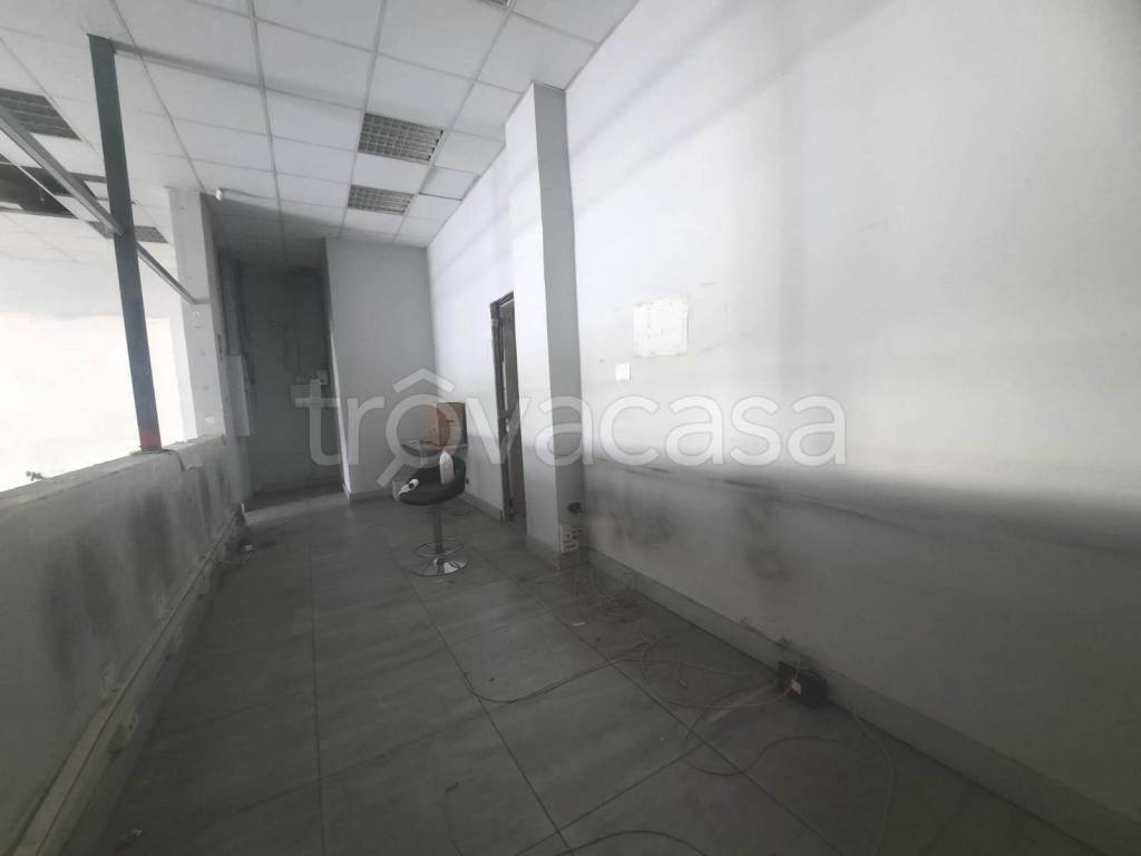 immagine annuncio 7 di 14