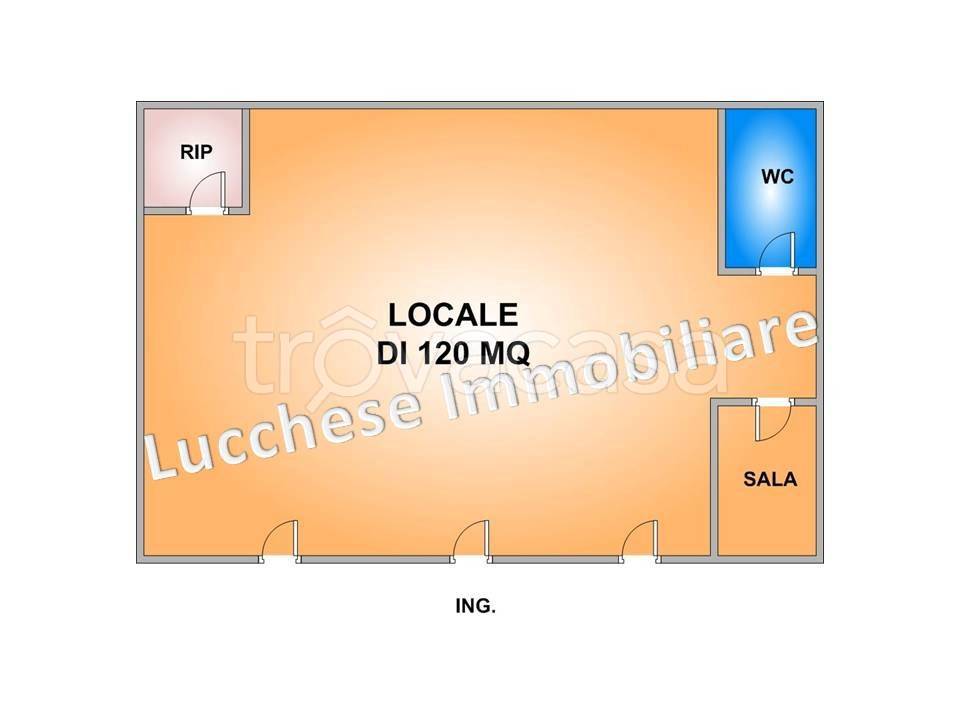 immagine annuncio 12 di 14