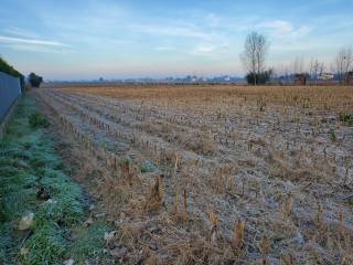 Terreno residenziale in vendita a polverara via benedetto croce